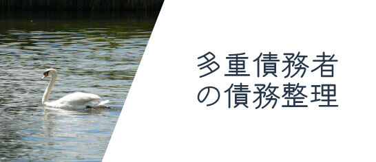 多重債務者の債務整理の画像